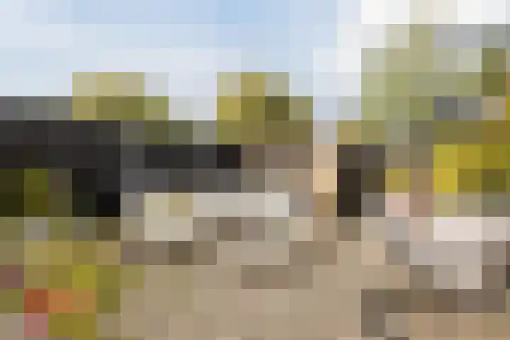 De Wemekamp 8 Den Ham thumbnail 54