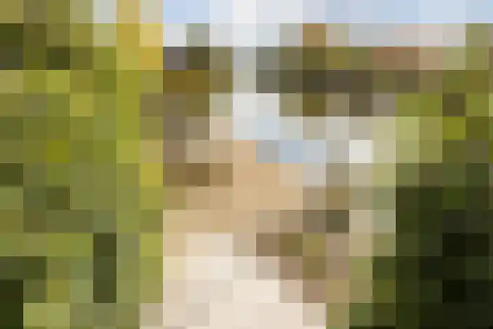 De Wemekamp 8 Den Ham thumbnail 57