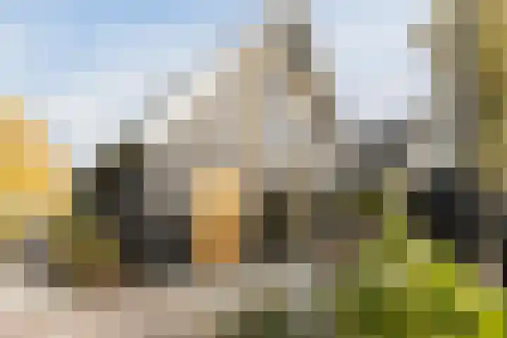 De Wemekamp 8 Den Ham thumbnail 58