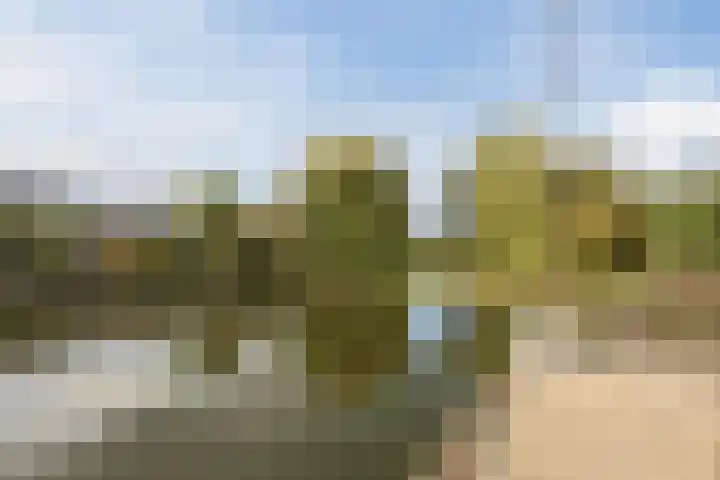 De Wemekamp 8 Den Ham thumbnail 60