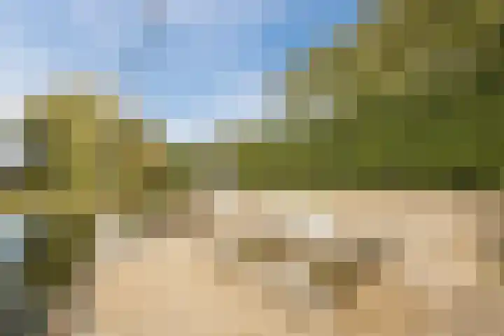 De Wemekamp 8 Den Ham thumbnail 61