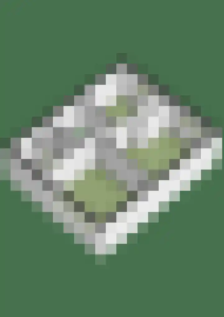 De Wemekamp 8 Den Ham thumbnail 63