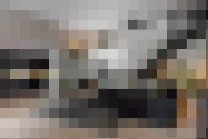 De Wemekamp 8 Den Ham thumbnail 65
