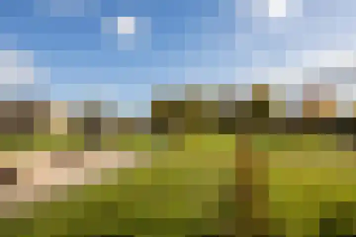 De Wemekamp 8 Den Ham thumbnail 65
