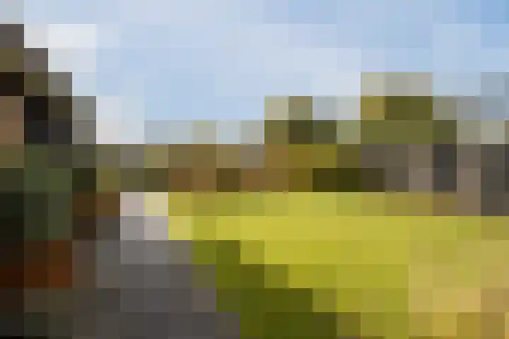De Wemekamp 8 Den Ham thumbnail 9