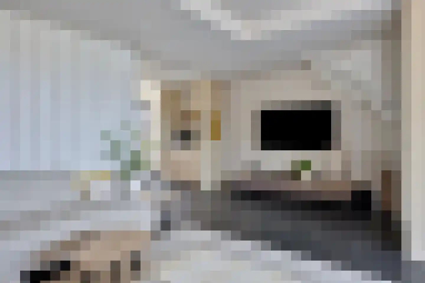 de Wendel 27 Burum thumbnail 12