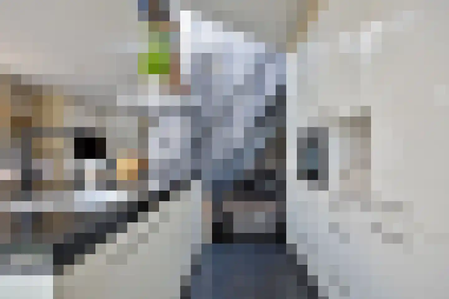 de Wendel 27 Burum thumbnail 24