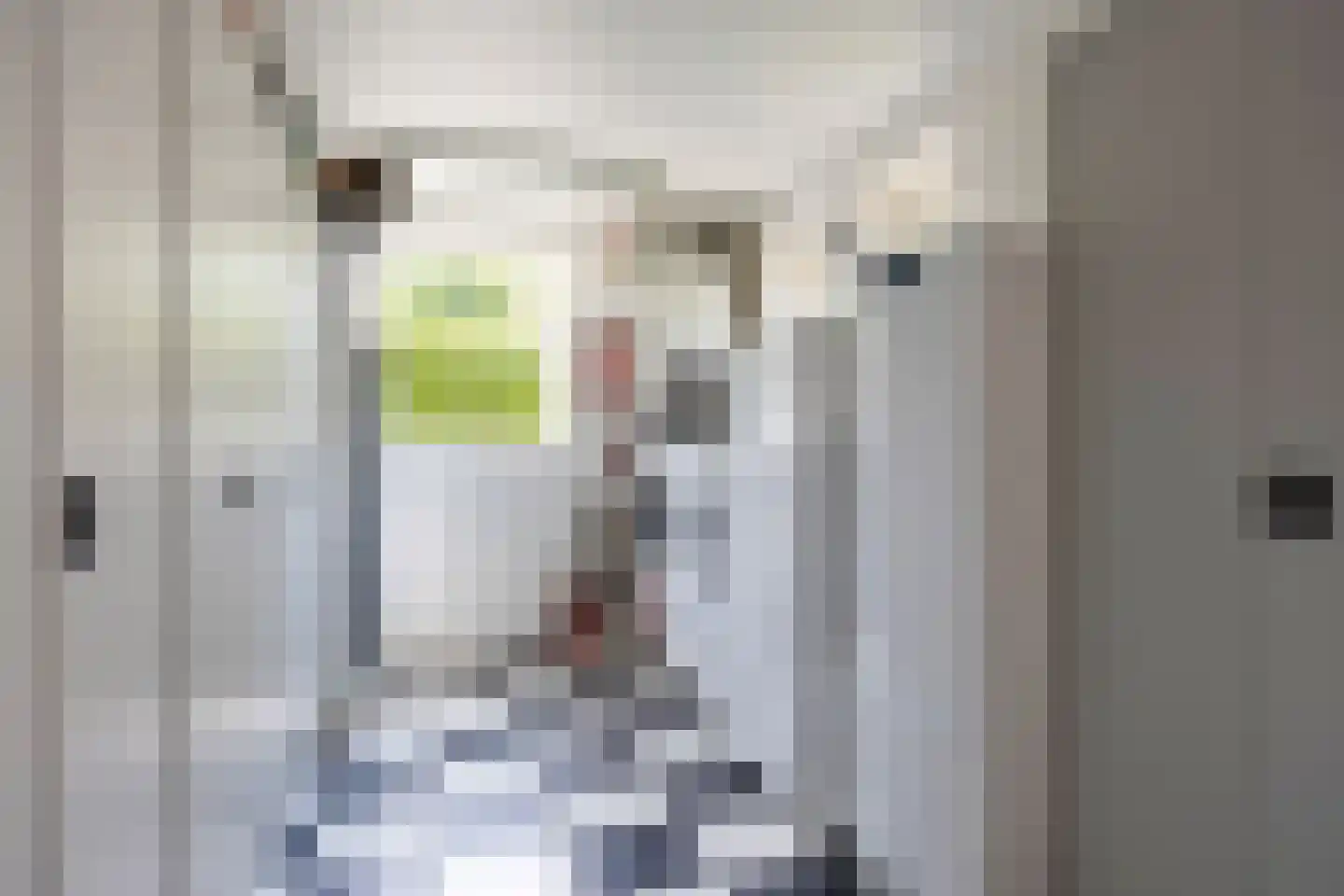 de Wendel 27 Burum thumbnail 30