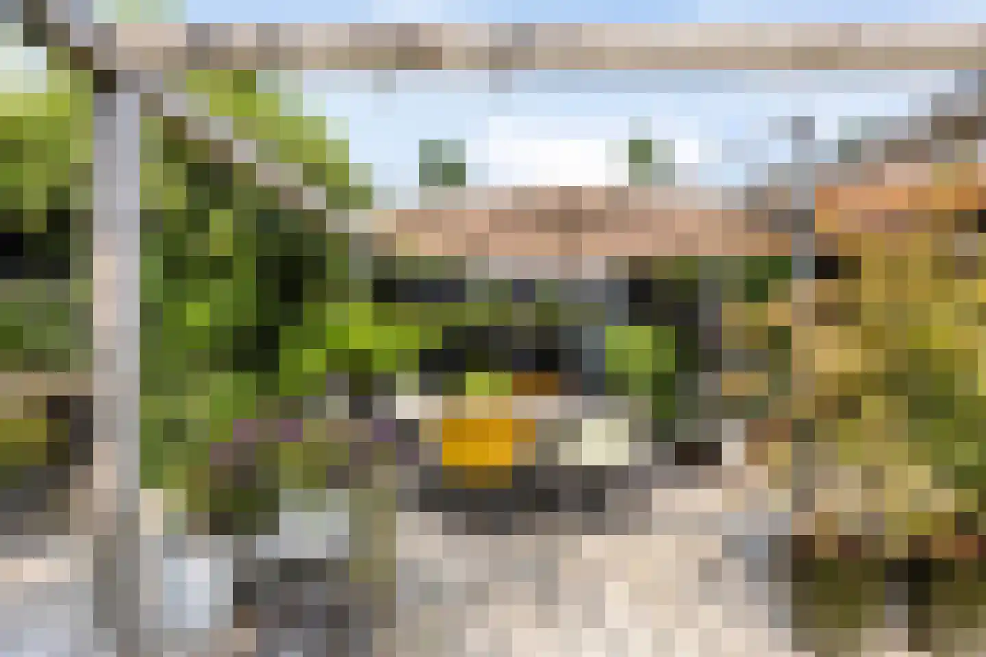 de Wendel 27 Burum thumbnail 37