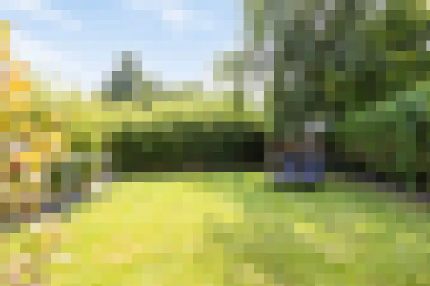 de Wendel 27 Burum thumbnail 38