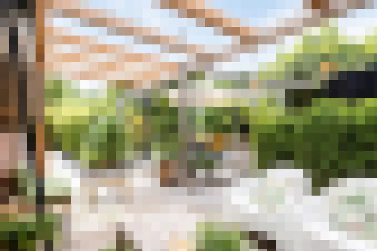 de Wendel 27 Burum thumbnail 4