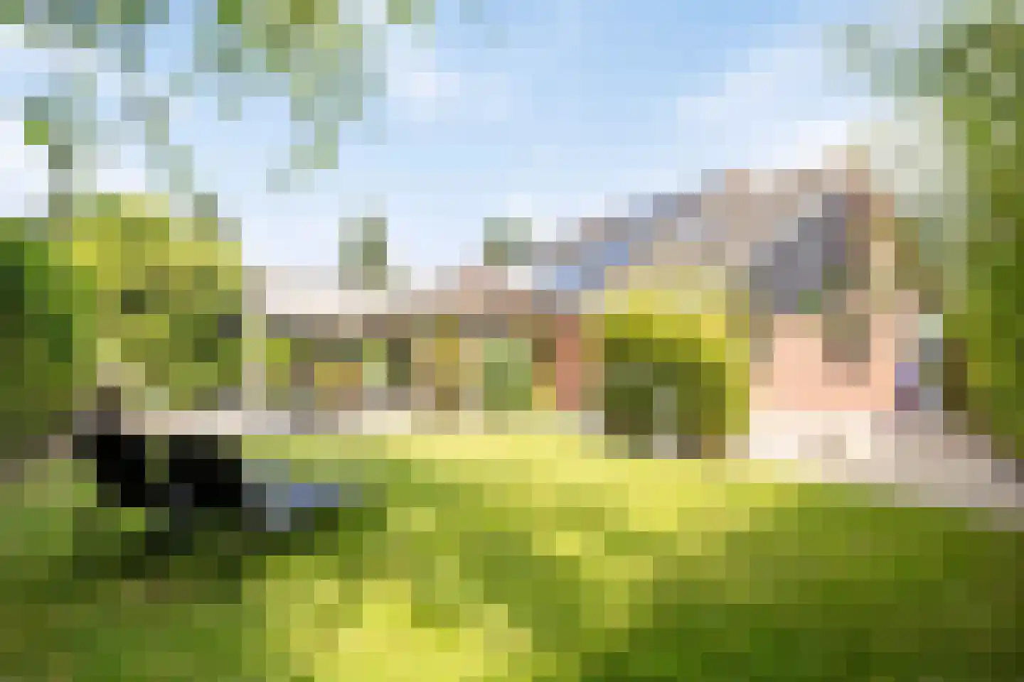 de Wendel 27 Burum thumbnail 40
