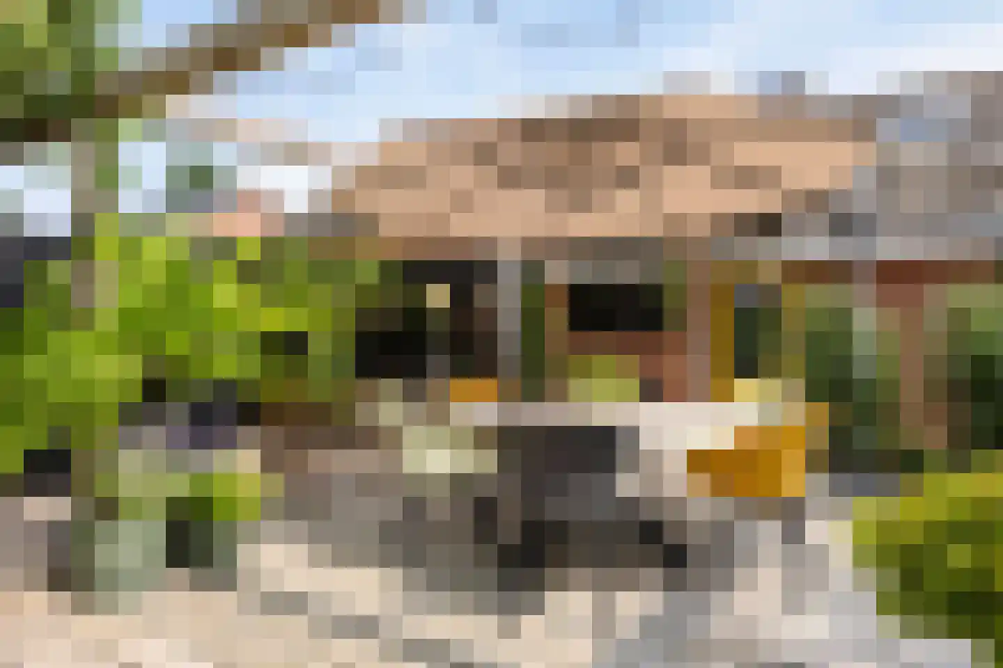 de Wendel 27 Burum thumbnail 43