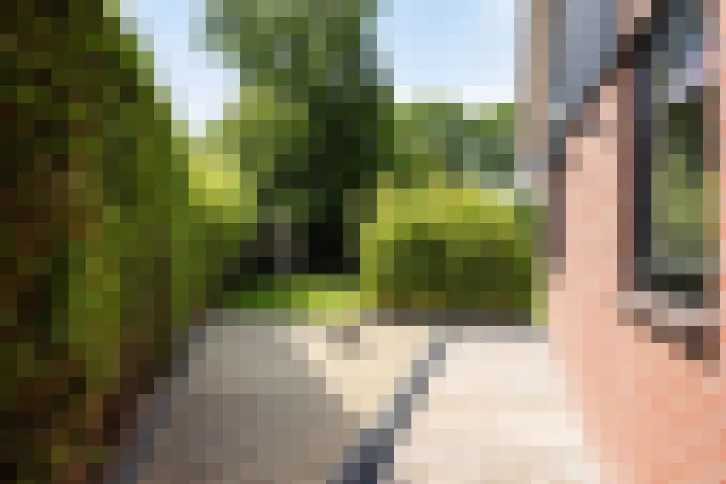 de Wendel 27 Burum thumbnail 55