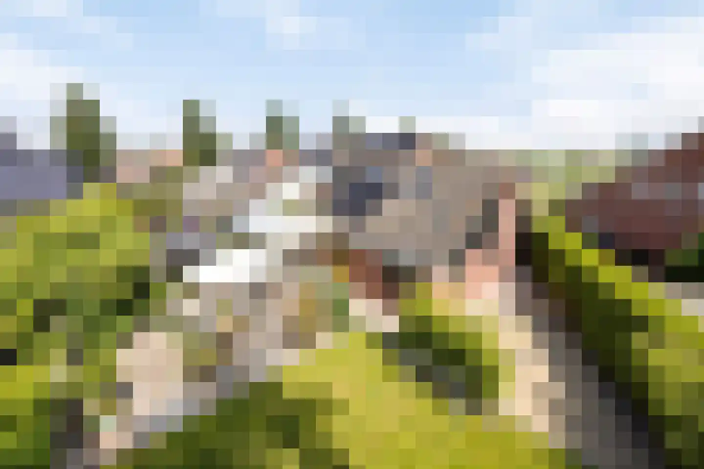 de Wendel 27 Burum thumbnail 58