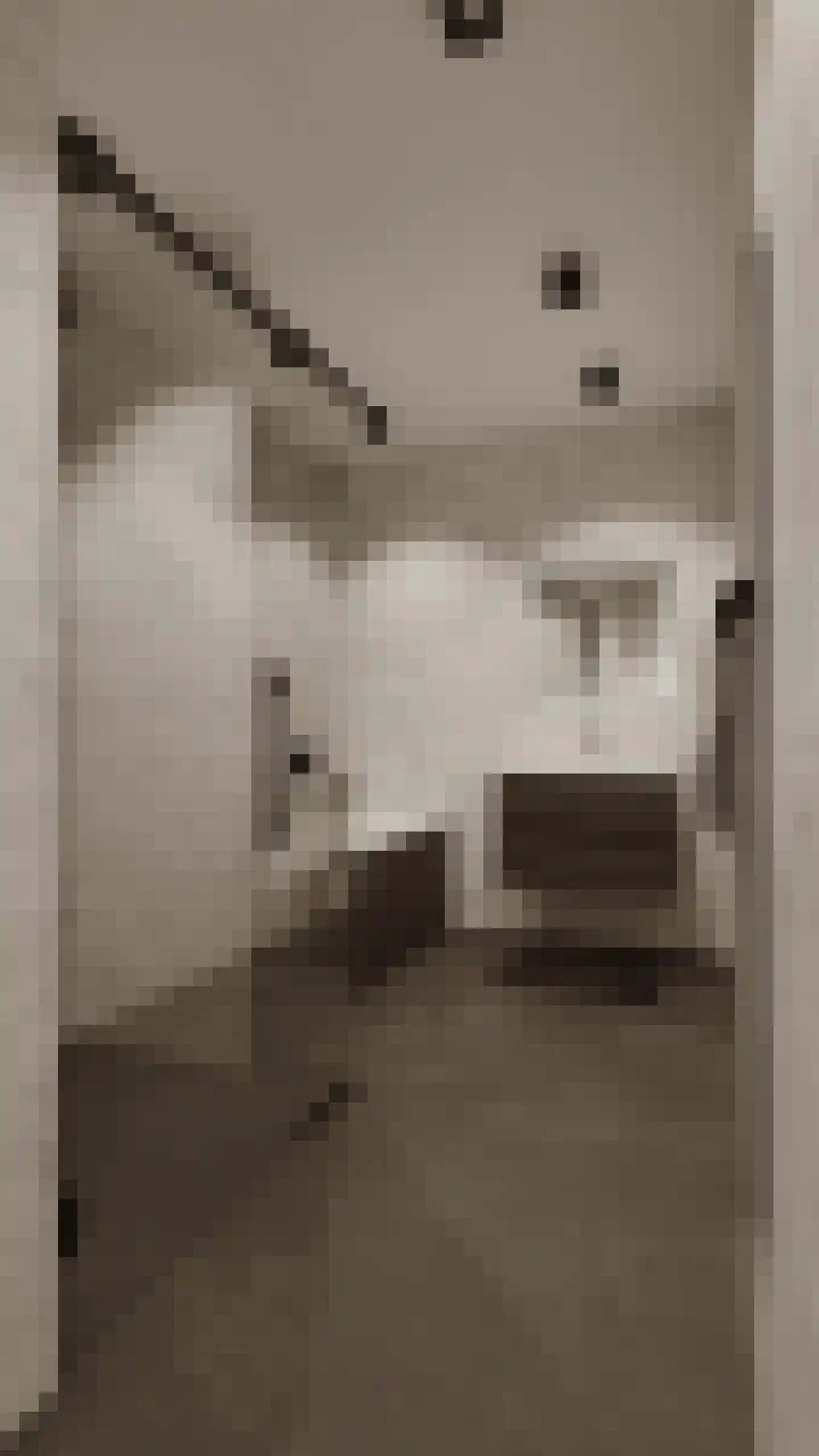De Wending 1 C Marum thumbnail 7