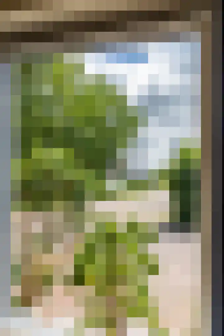 De Wending 109 Marum thumbnail 40