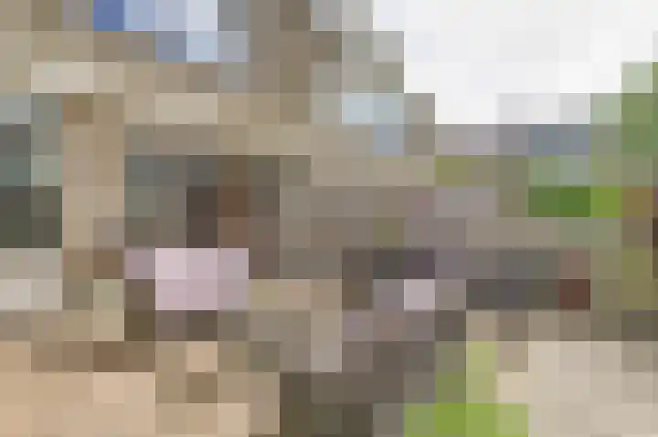 De Were 112 Zwijndrecht thumbnail 30