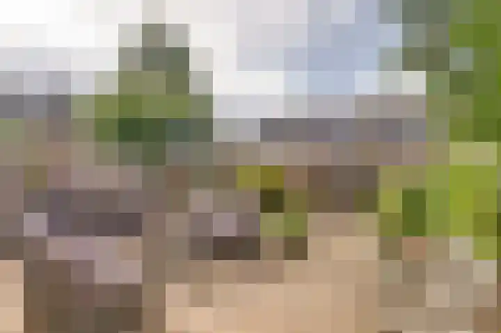De Were 112 Zwijndrecht thumbnail 31