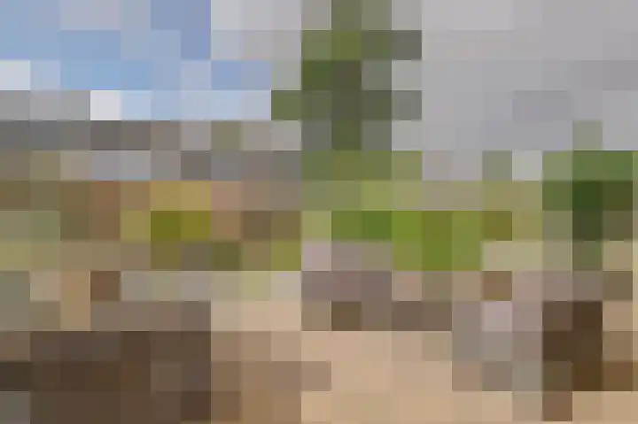De Were 112 Zwijndrecht thumbnail 32