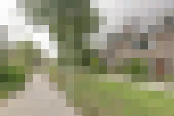 De Were 112 Zwijndrecht thumbnail 34