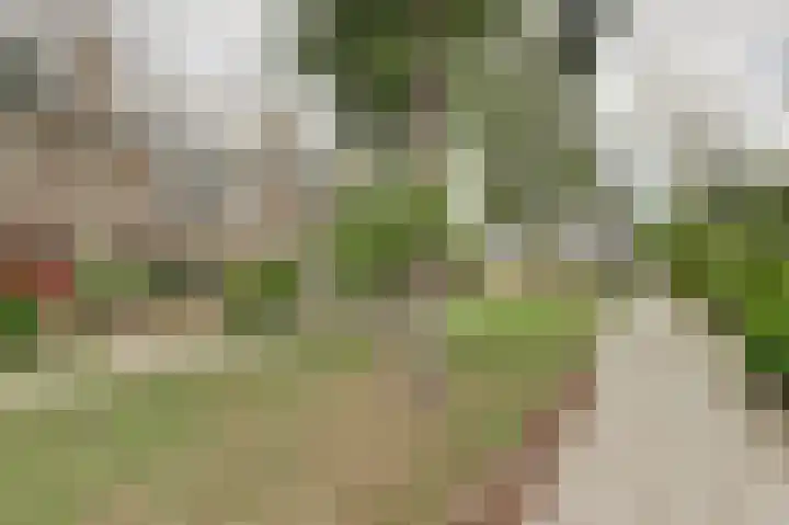 De Were 112 Zwijndrecht thumbnail 36