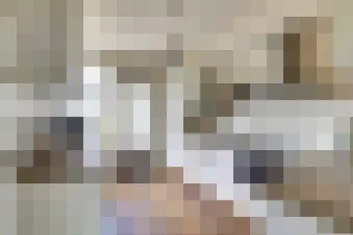 De Were 112 Zwijndrecht thumbnail 4