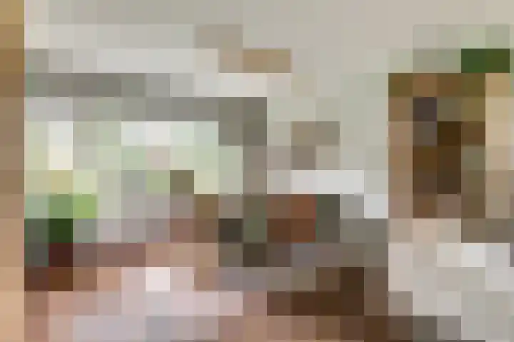 De Were 112 Zwijndrecht thumbnail 8