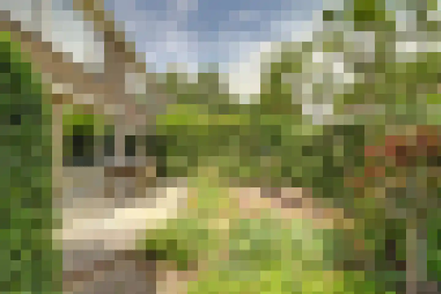 De Were 118 Zwijndrecht thumbnail 11