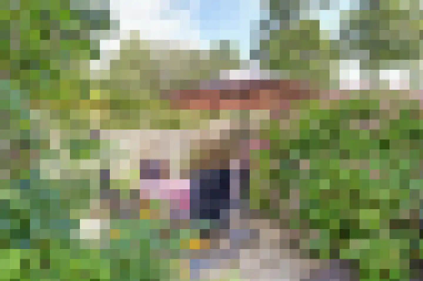 De Were 118 Zwijndrecht thumbnail 25