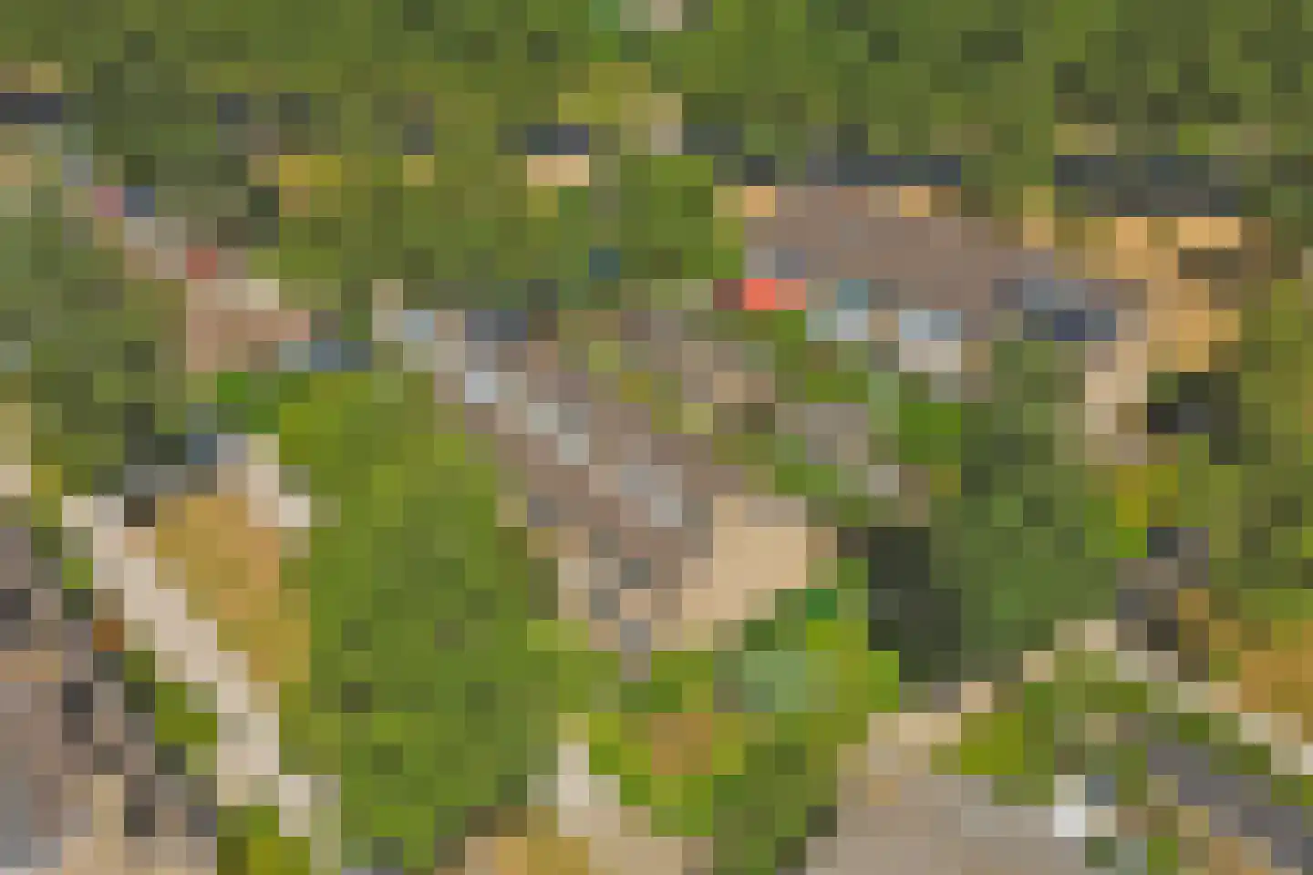 De Were 118 Zwijndrecht thumbnail 6