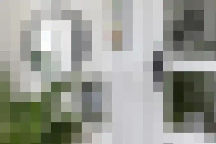 De Were 59 Zwijndrecht thumbnail 13