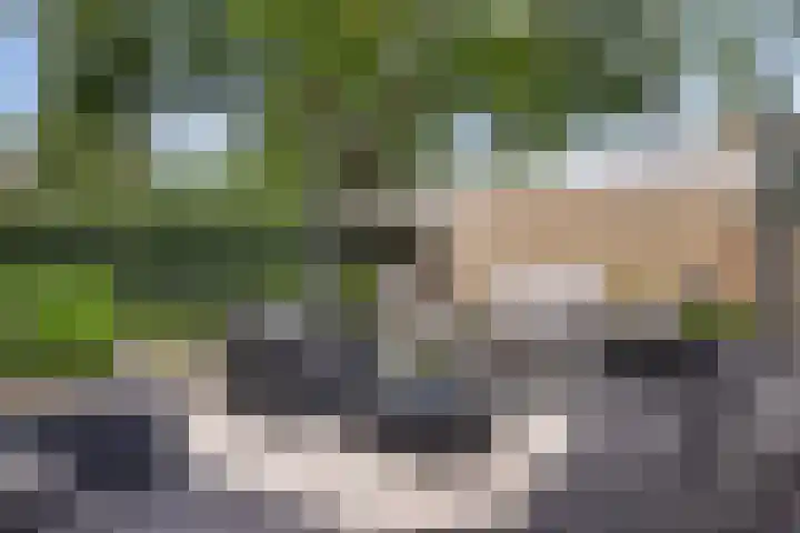 De Were 59 Zwijndrecht thumbnail 23