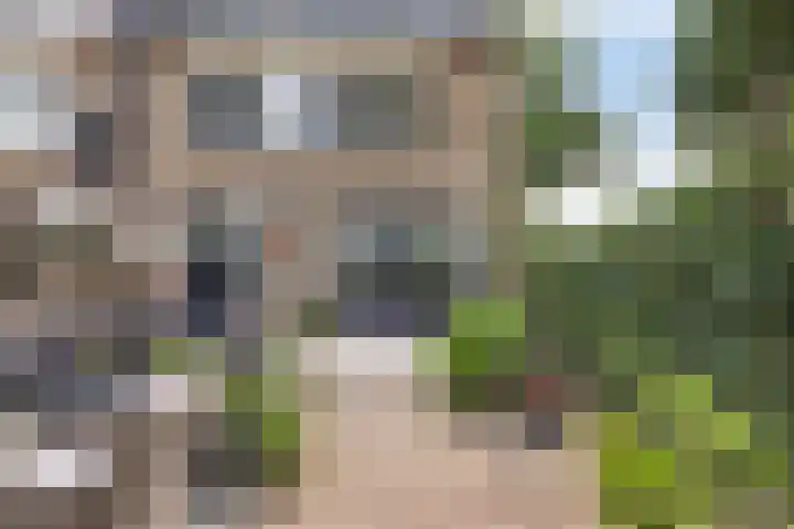 De Were 59 Zwijndrecht thumbnail 24