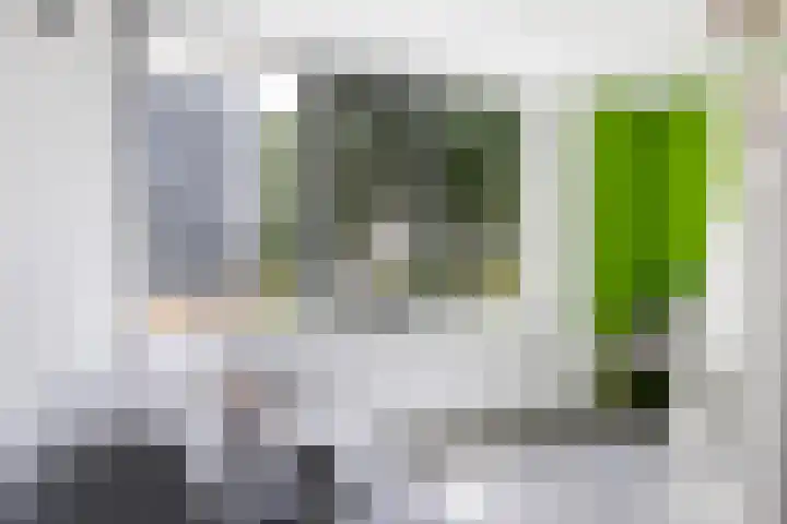 De Were 59 Zwijndrecht thumbnail 32