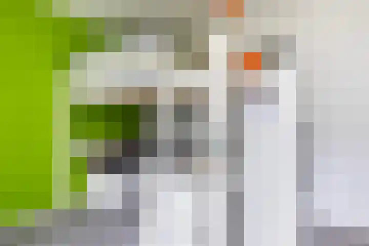 De Were 59 Zwijndrecht thumbnail 33