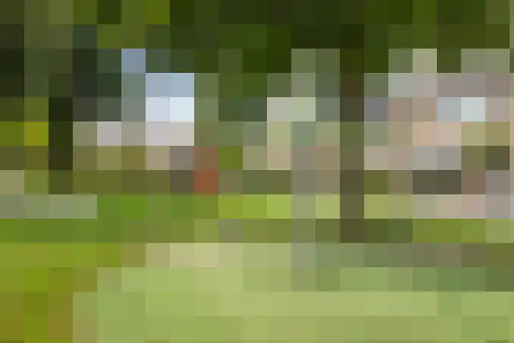 De Were 59 Zwijndrecht thumbnail 46