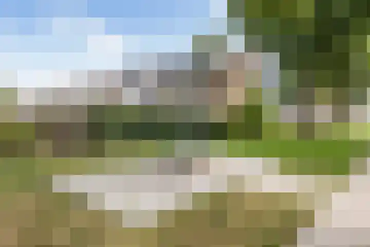 De Were 59 Zwijndrecht thumbnail 47