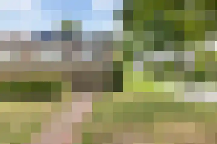 De Were 59 Zwijndrecht thumbnail 48