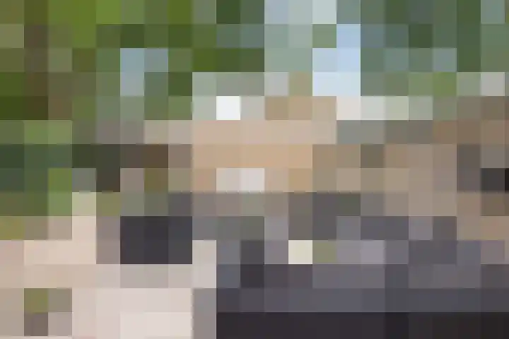 De Were 59 Zwijndrecht thumbnail 5