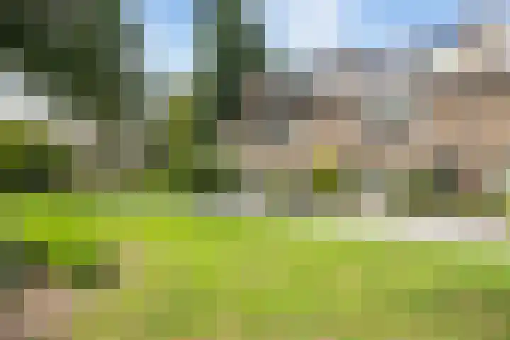 De Were 59 Zwijndrecht thumbnail 6