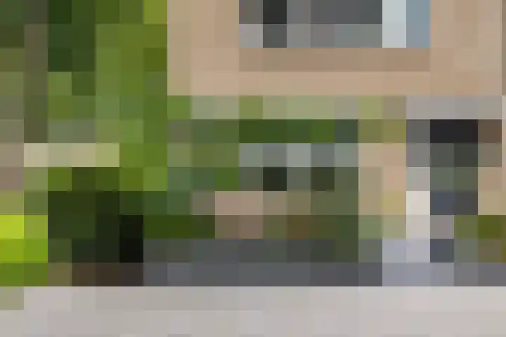 De Were 59 Zwijndrecht thumbnail 9