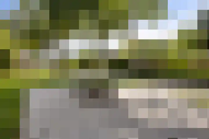 De Were 74 Zwijndrecht thumbnail 27