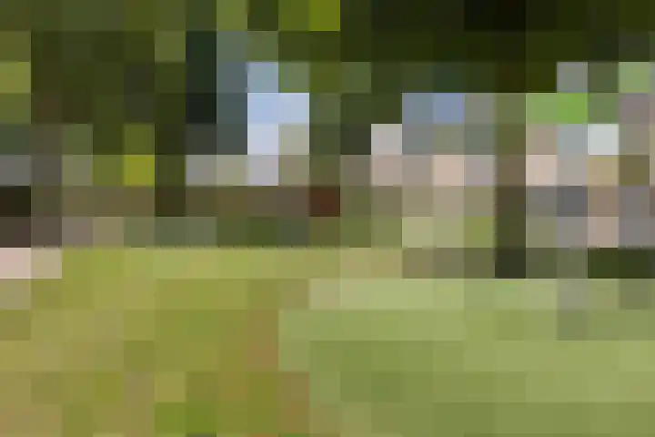 De Were 74 Zwijndrecht thumbnail 28