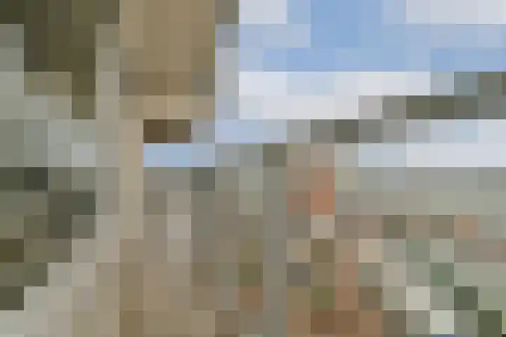 De Werf 111 Zwijndrecht thumbnail 15