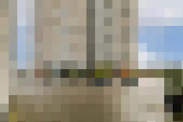 De Werf 111 Zwijndrecht thumbnail 23