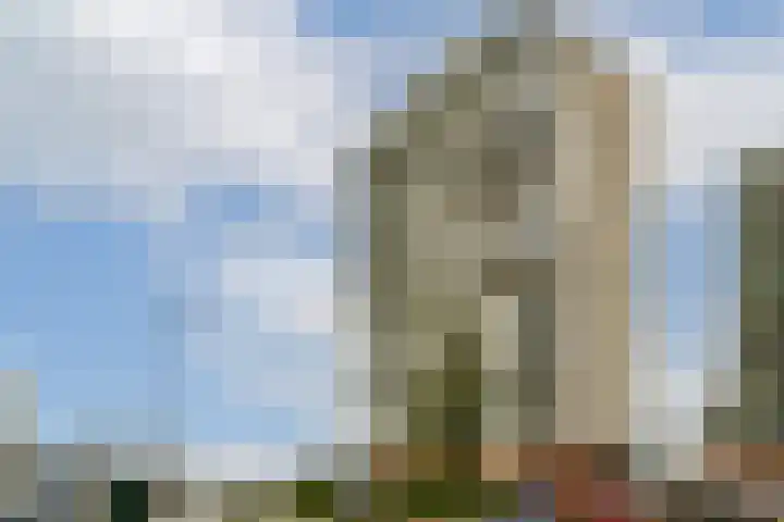 De Werf 111 Zwijndrecht thumbnail 27