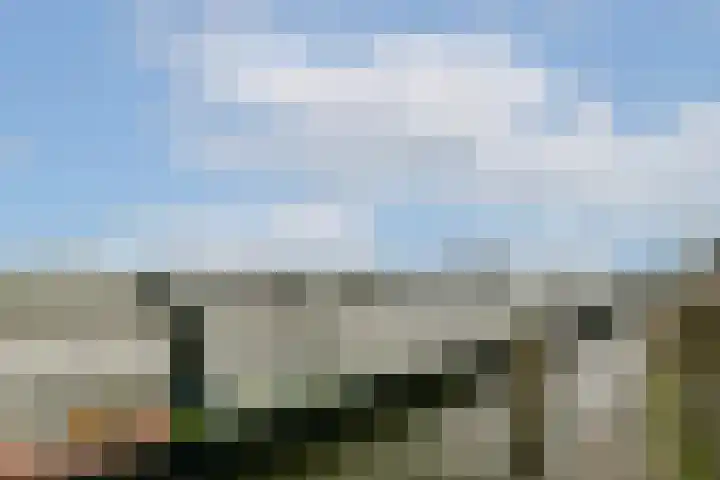 De Werf 111 Zwijndrecht thumbnail 30