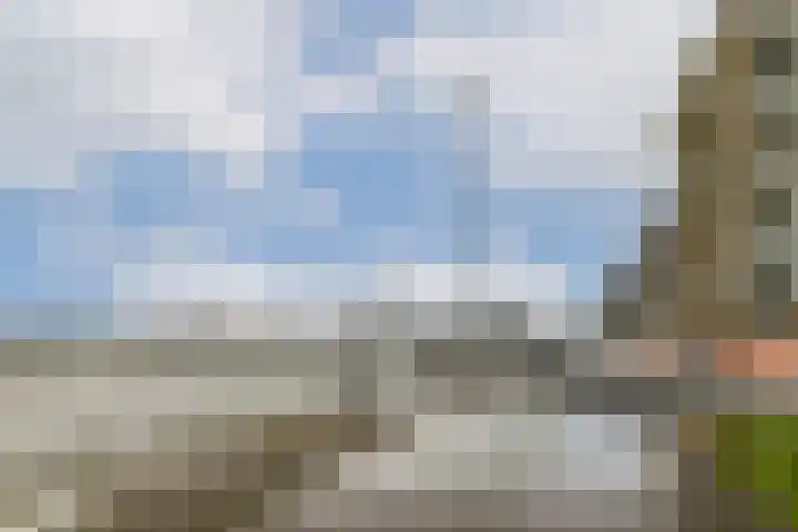 De Werf 111 Zwijndrecht thumbnail 31