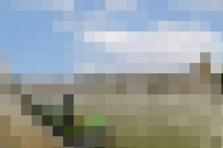 De Werf 111 Zwijndrecht thumbnail 32